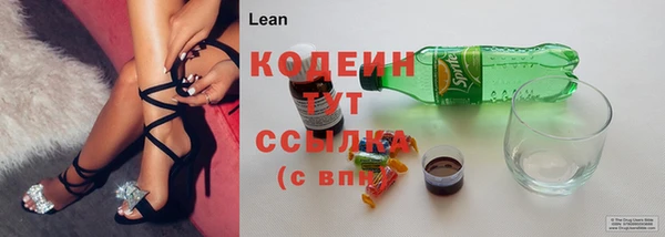 шишки Армянск