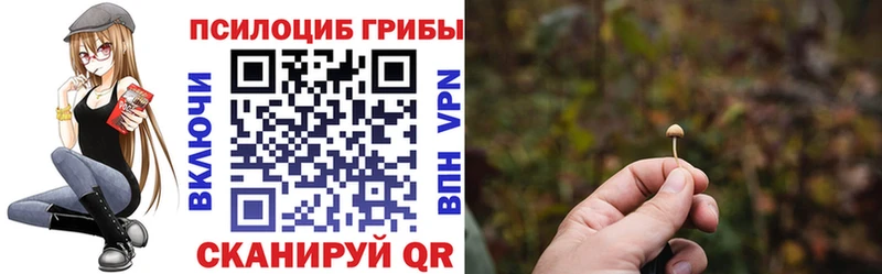 Галлюциногенные грибы мухоморы  Купить  Топки 